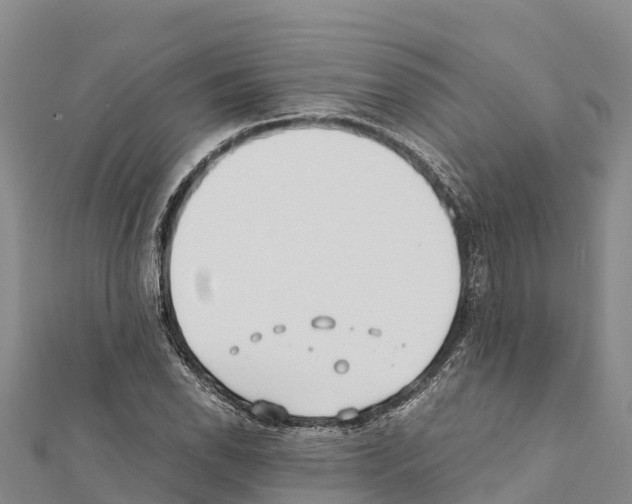 X0000111391118200908211355