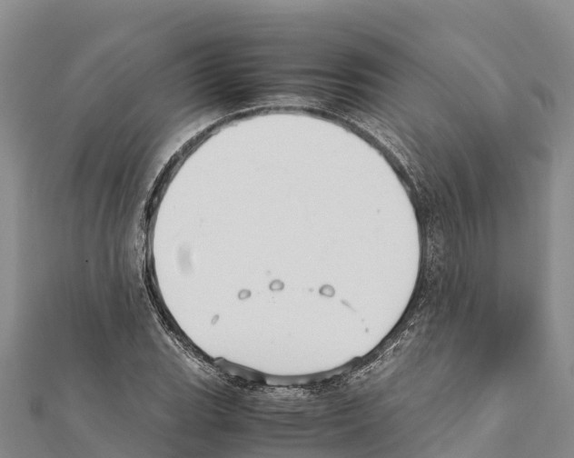X0000111391119200908211355