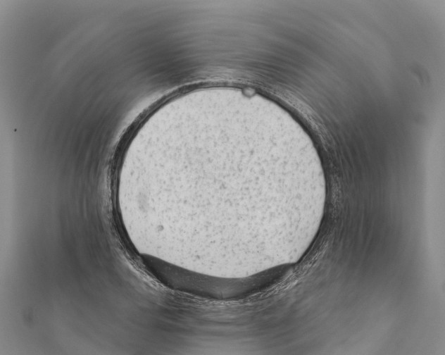 X0000111391120200908211355