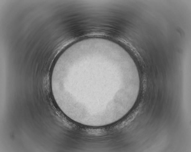 X0000111391121200908211356