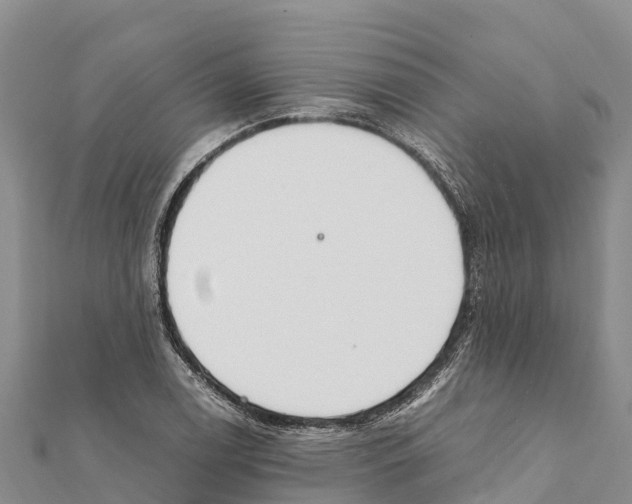 X0000111391122200908211356