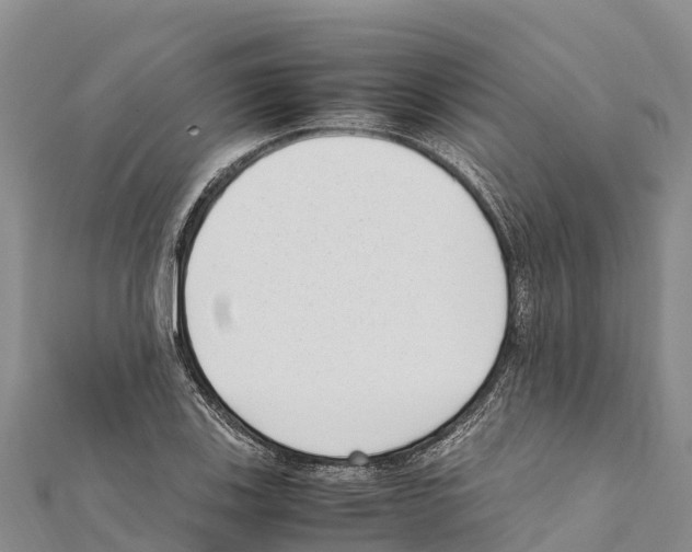 X0000111391123200908211356