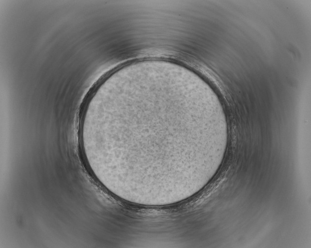 X0000111391124200908211356