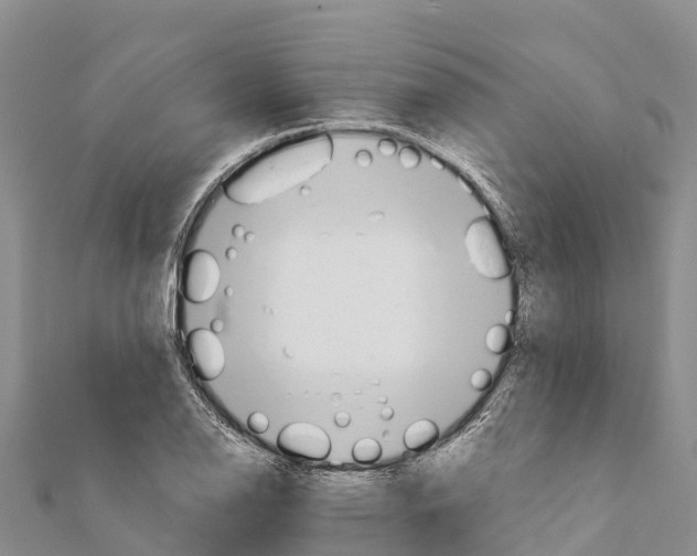 X0000111391126200908211356