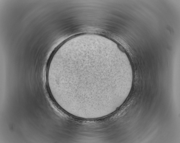 X0000111391128200908211356