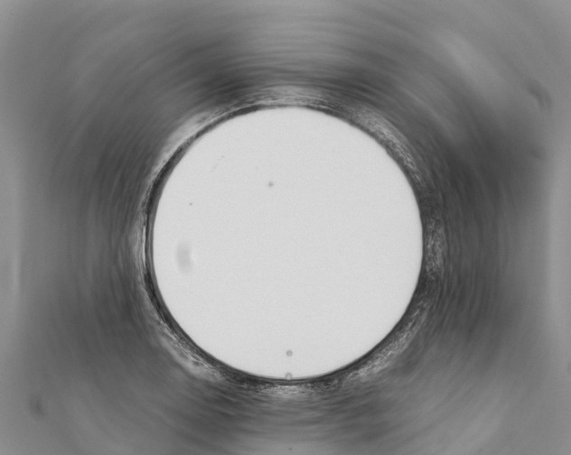 X0000111391130200908211356