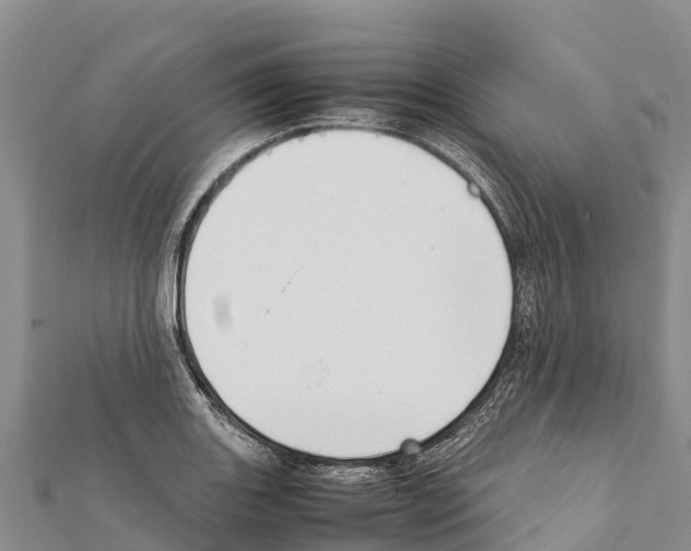 X0000111391131200908211356