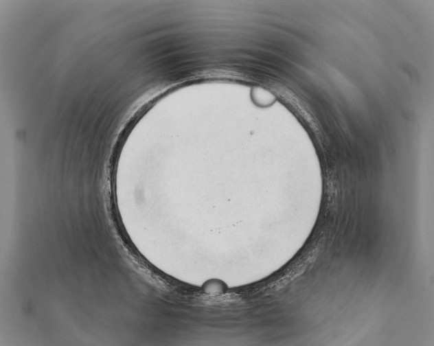 X0000111391133200908211356