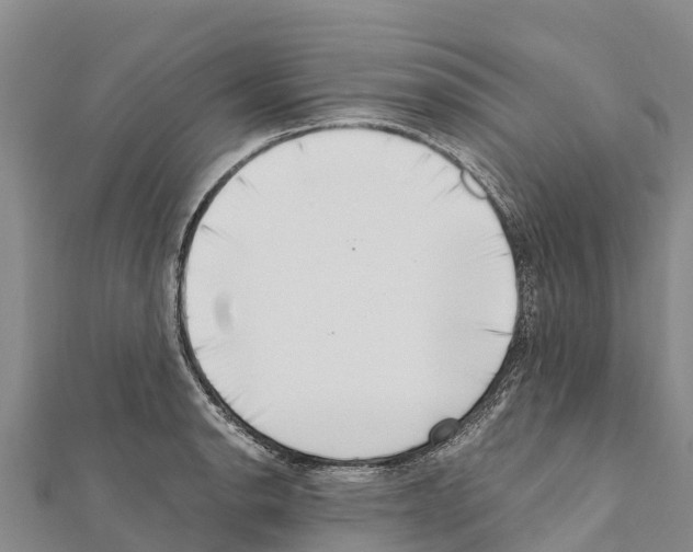 X0000111391134200908211356