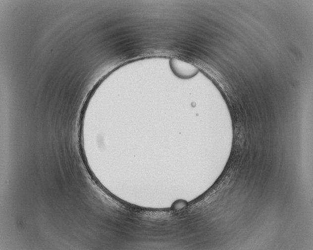 X0000111391135200908211356