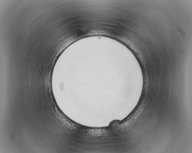 X0000111391137200908211356