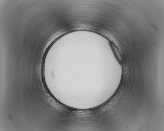 X0000111391138200908211356