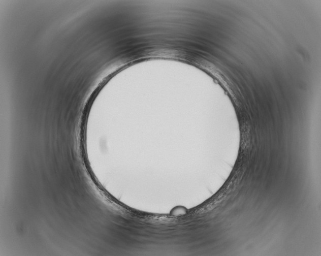 X0000111391139200908211356