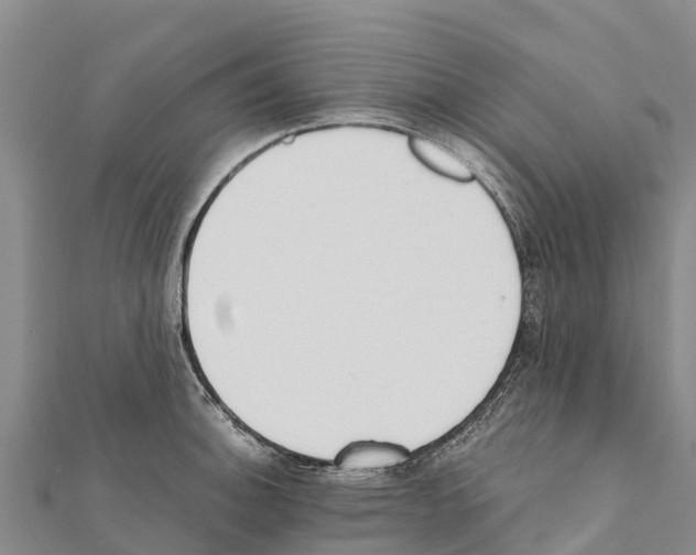 X0000111391140200908211356
