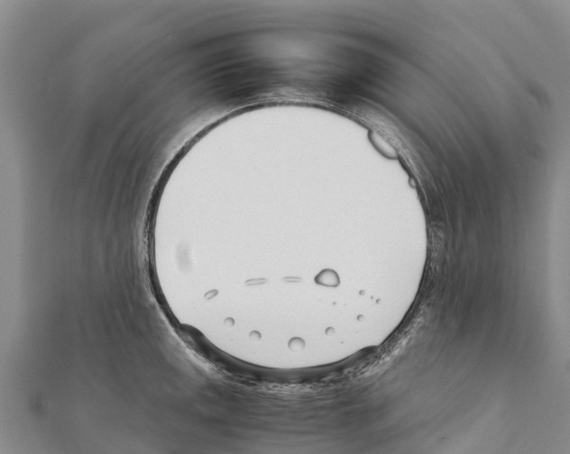 X0000111391141200908211356
