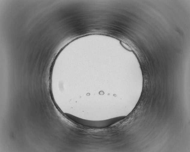 X0000111391143200908211356