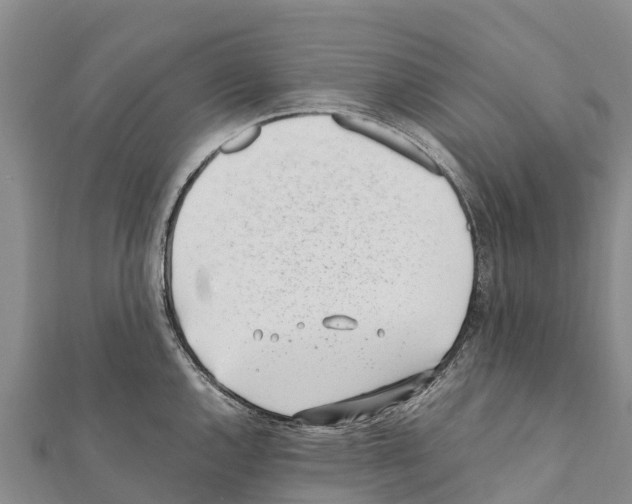 X0000111391144200908211356