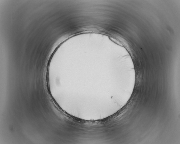X0000111391146200908211356