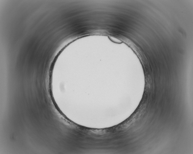 X0000111391147200908211356