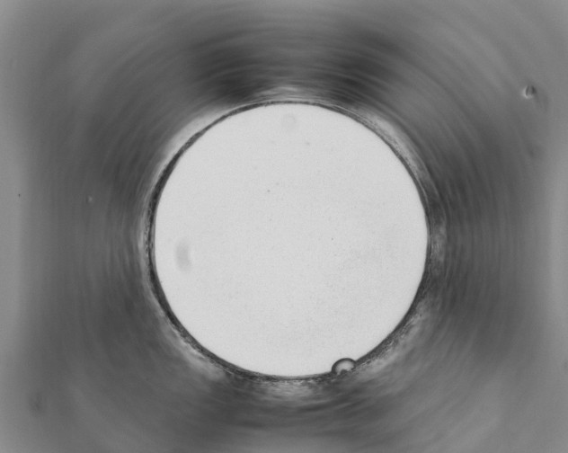 X0000111391149200908211356