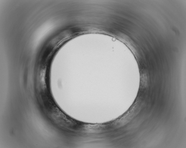 X0000111391150200908211356