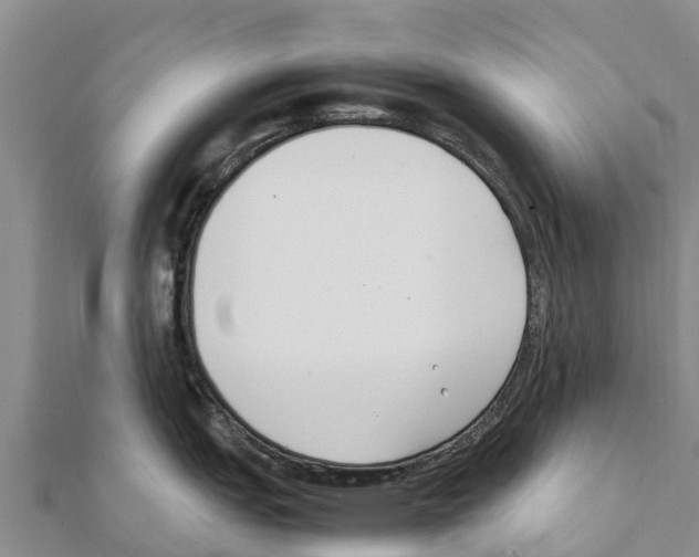 X0000111391151200908211356