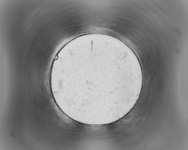 X0000111391152200908211356