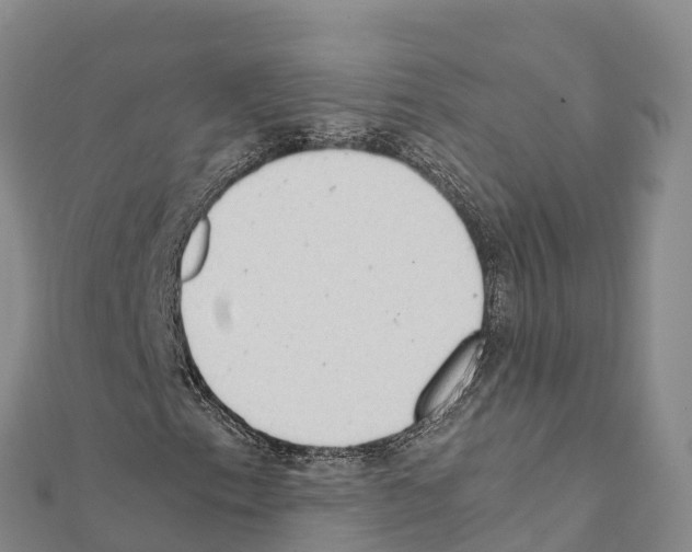 X0000111391153200908211355
