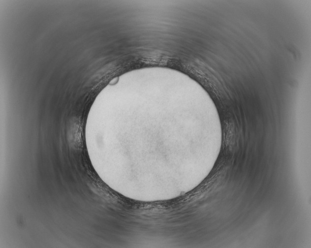 X0000111391154200908211355