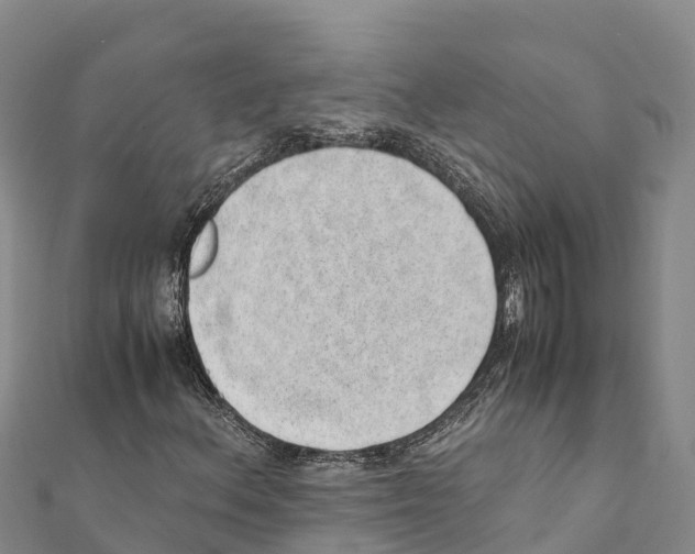 X0000111391156200908211355