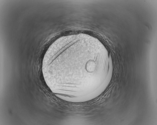 X0000111391157200908211355