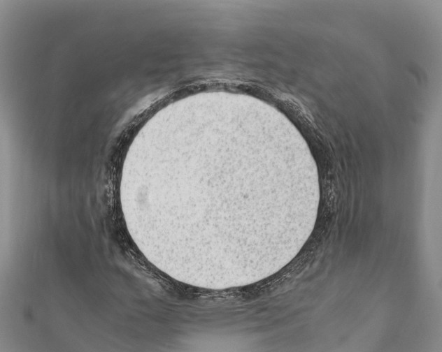 X0000111391159200908211355