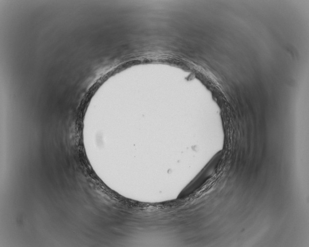 X0000111391160200908211355