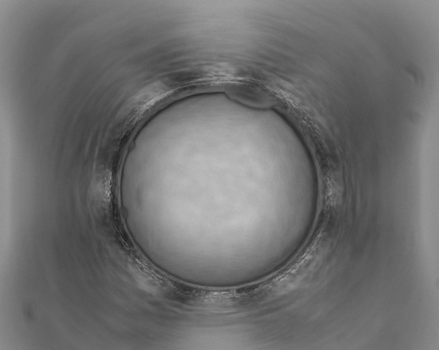 X0000111391161200908211355