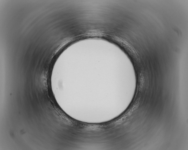 X0000111391162200908211355