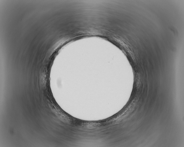 X0000111391163200908211355