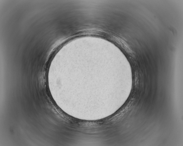 X0000111391164200908211355