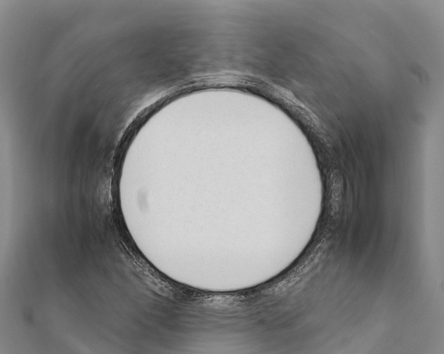 X0000111391166200908211355