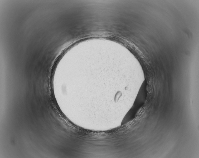 X0000111391168200908211355