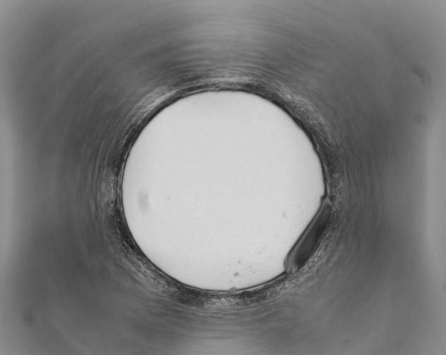 X0000111391169200908211355