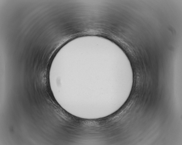 X0000111391170200908211355