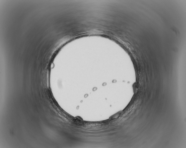 X0000111391171200908211355