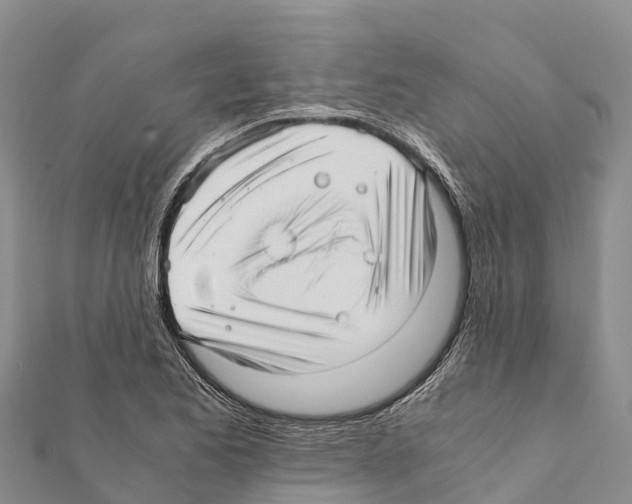 X0000111391173200908211355