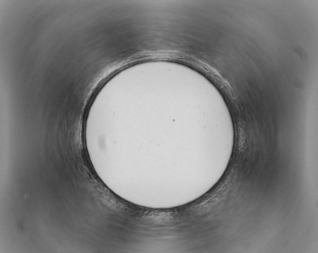 X0000111391174200908211355