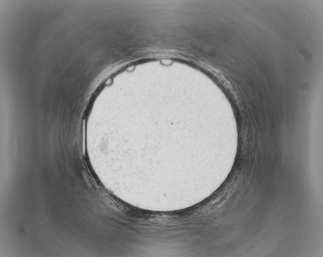 X0000111391175200908211355