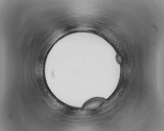 X0000111391177200908211355