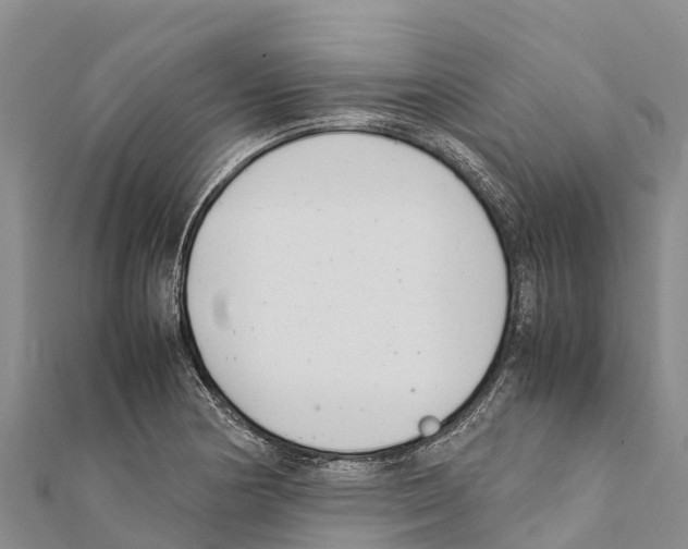 X0000111391178200908211355