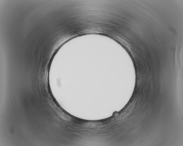 X0000111391179200908211355
