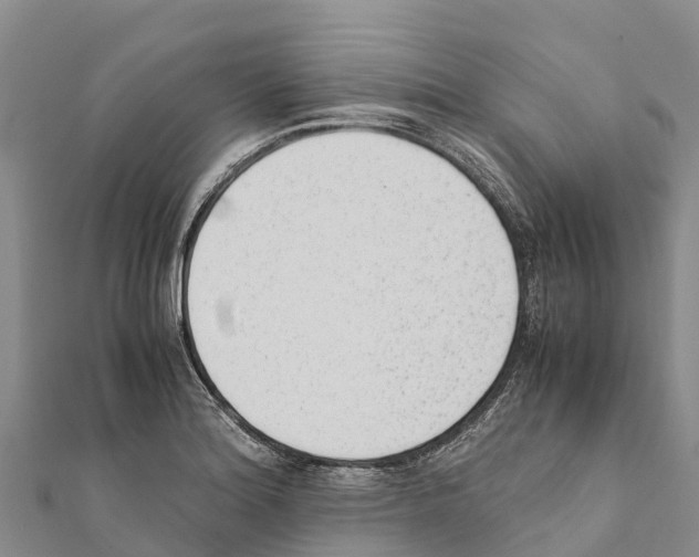 X0000111391180200908211355