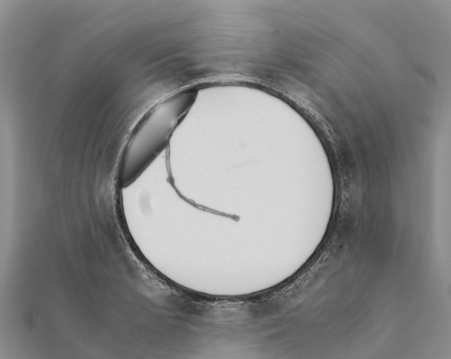 X0000111391181200908211355